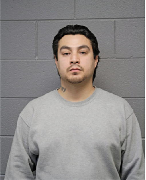CESAR BRAVO, Cook County, Illinois