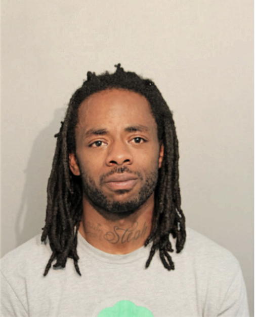RYAN C COLLINS, Cook County, Illinois
