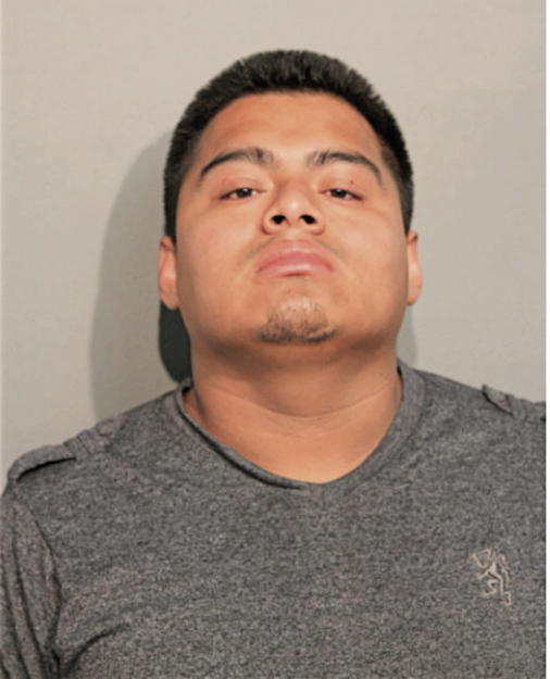 JUAN A CRUZ, Cook County, Illinois