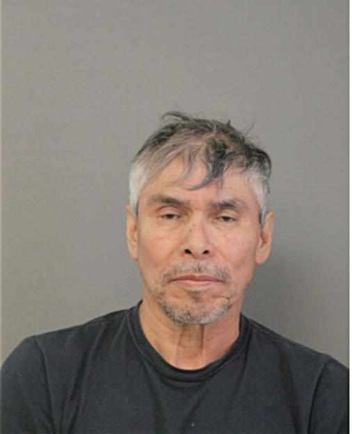 DELFINO ESPINOSA, Cook County, Illinois