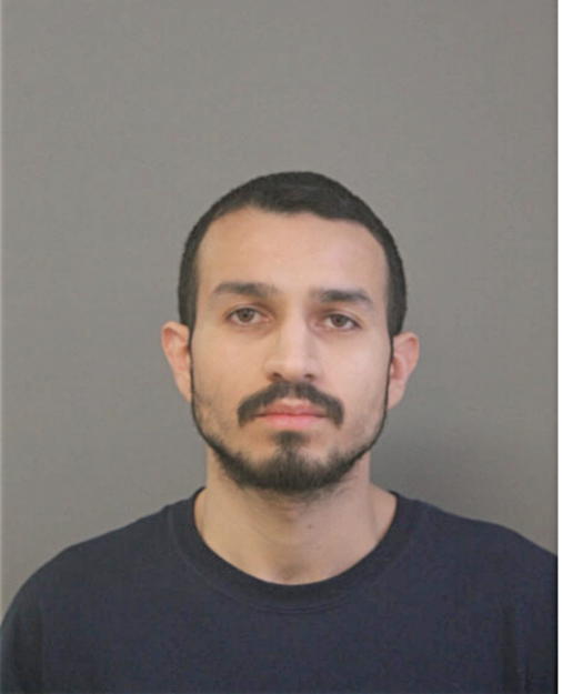 ALEJANDRO H FIGUEROA, Cook County, Illinois