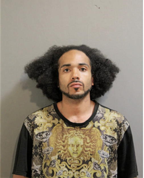ROBERT J FLEMING, Cook County, Illinois