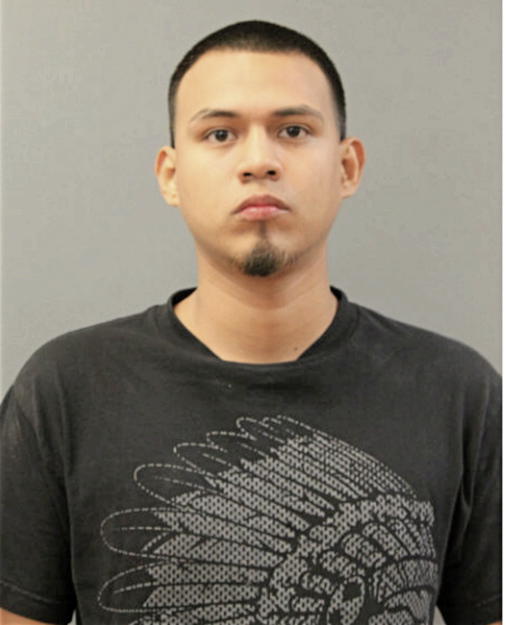 ERIK J GARCIA, Cook County, Illinois