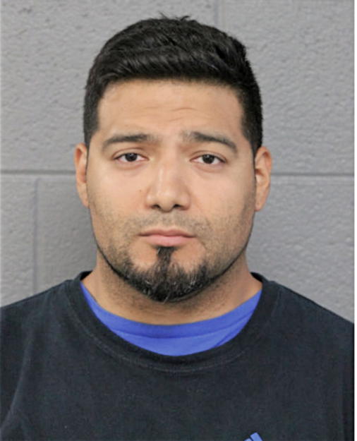 VICTOR J GARCIA, Cook County, Illinois