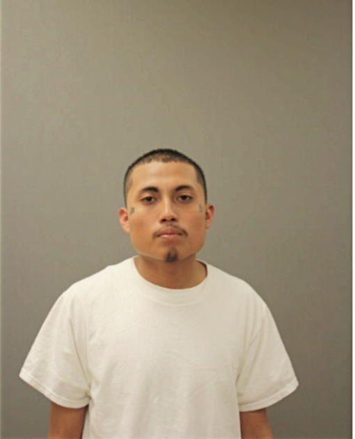 DAVID GONZALEZ, Cook County, Illinois
