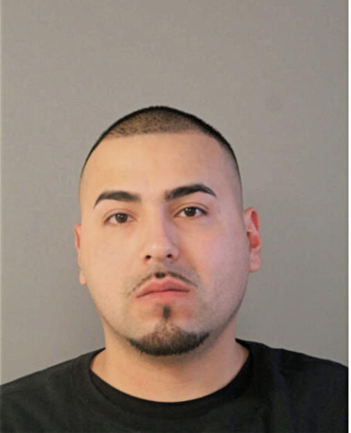JULIO C GONZALEZ, Cook County, Illinois