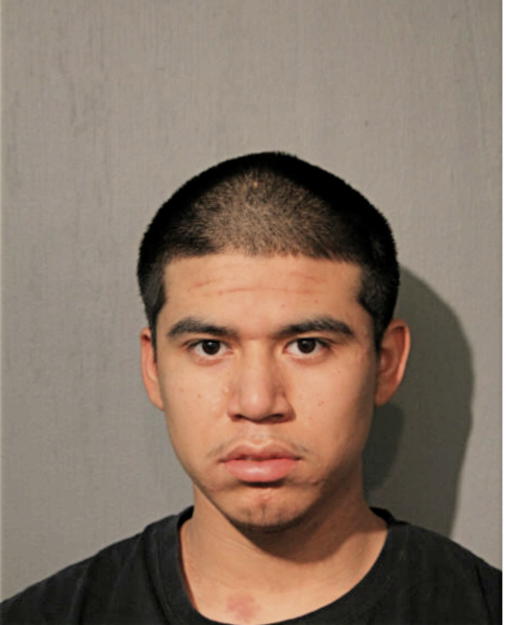SANTINO C HERNANDEZ, Cook County, Illinois