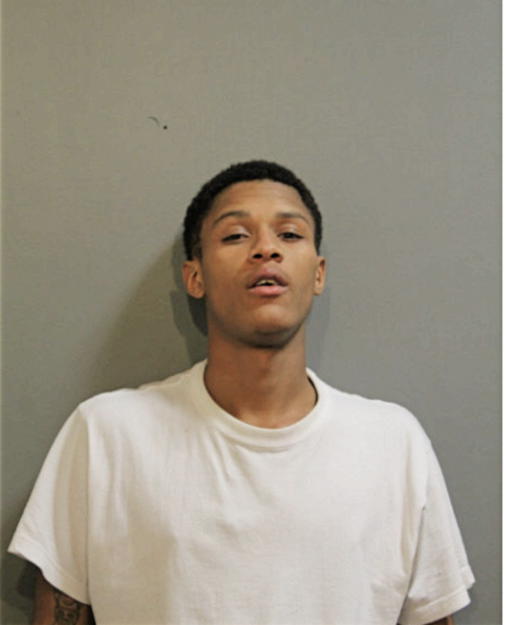 SHAWN D HIGGINS, Cook County, Illinois