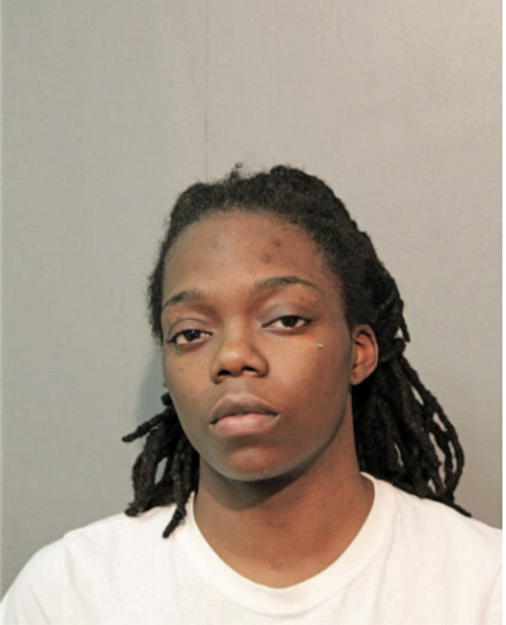 DANIELLE C JOHNSON, Cook County, Illinois