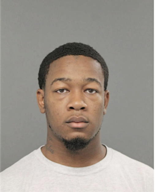 JEROME A JOHNSON, Cook County, Illinois