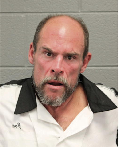 BRIAN W LAVERGNE, Cook County, Illinois