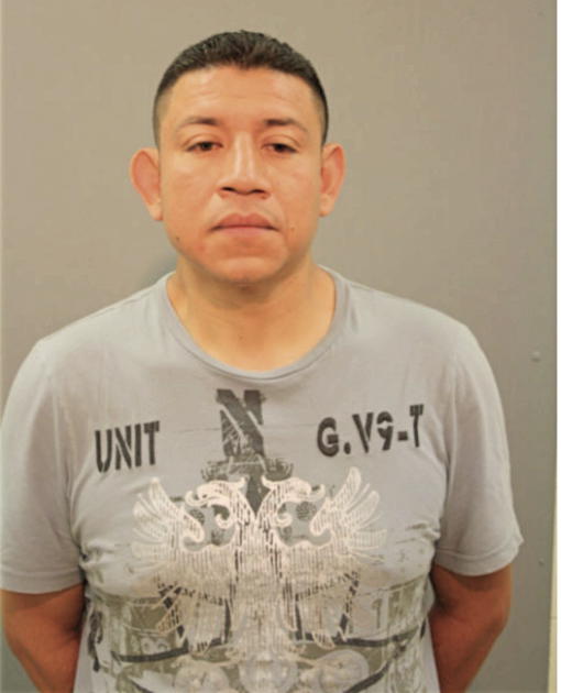 JOEL J LUNA, Cook County, Illinois