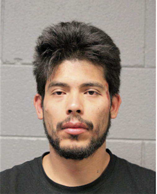 EDGAR MEZA, Cook County, Illinois