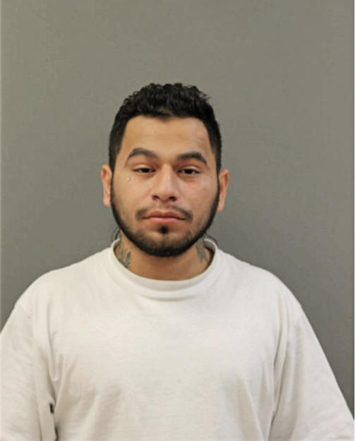 SAUL OCAMPO, Cook County, Illinois