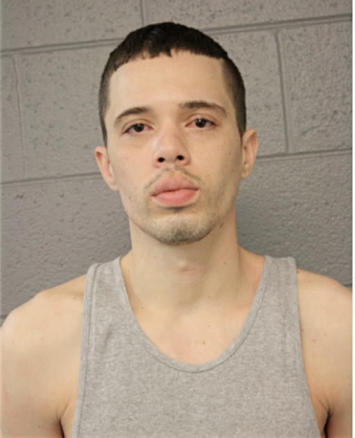 DWAYNE J PIERSON, Cook County, Illinois