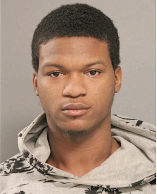 WALTER L ADAMS, Cook County, Illinois