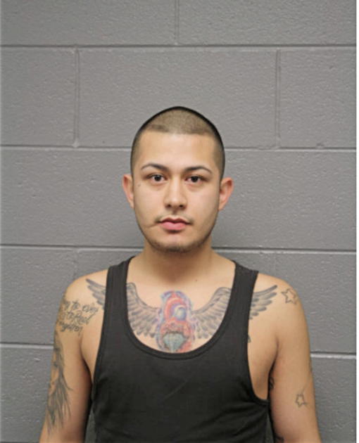 RAUL R ALVAREZ, Cook County, Illinois