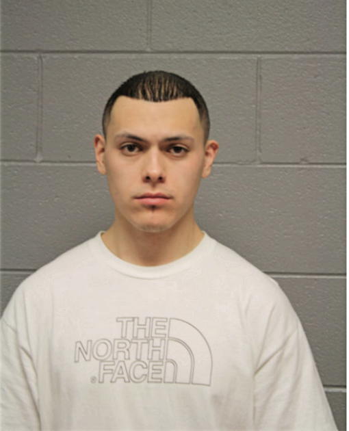 MIGUEL CABRALES, Cook County, Illinois