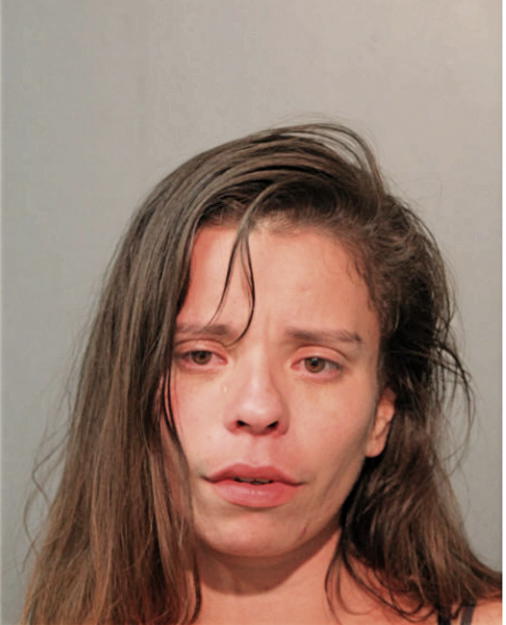 ROSA M CAMACHO, Cook County, Illinois