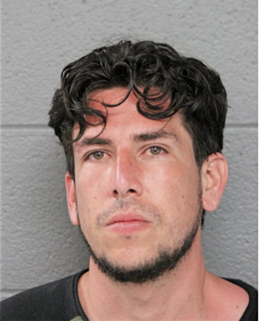 ERIK A CASTELLANOS, Cook County, Illinois