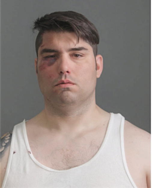 CHRISTOPHER W CHASTEN, Cook County, Illinois