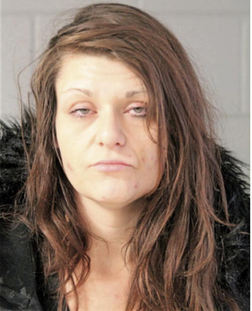 CATHERINE A DOLEHIDE, Cook County, Illinois