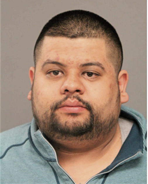 ALFONSO FLORES, Cook County, Illinois