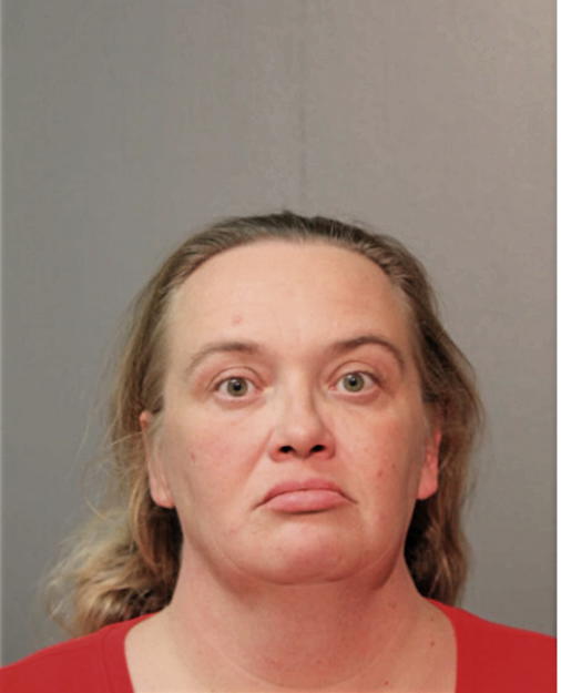 HOLLY N GIBSON, Cook County, Illinois
