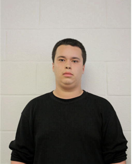 LUIS S GILES, Cook County, Illinois