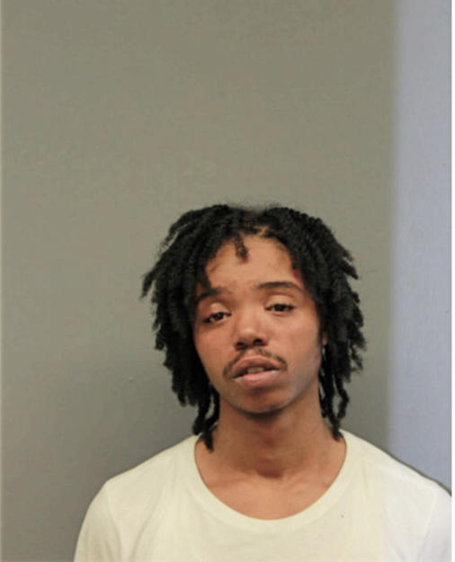 MATTHEW M JACKSON, Cook County, Illinois