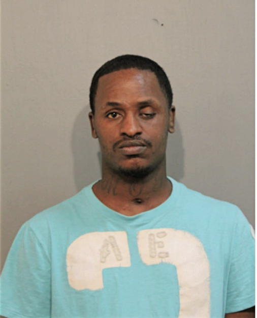 CALVIN T JOHNSON, Cook County, Illinois