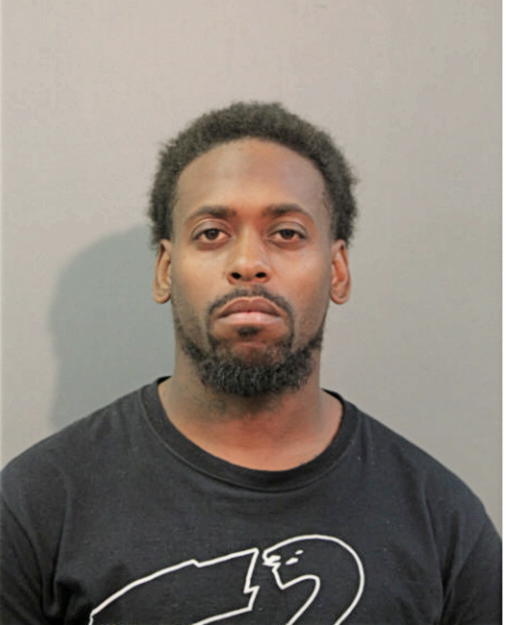 MICHAEL A JOHNSON, Cook County, Illinois