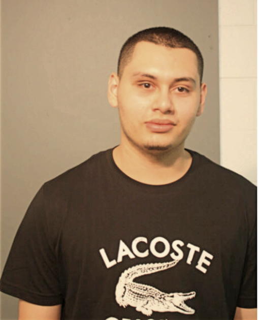DANIEL C LANCHEROS, Cook County, Illinois