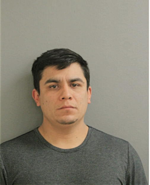 HAZAEL LEDEZMA, Cook County, Illinois