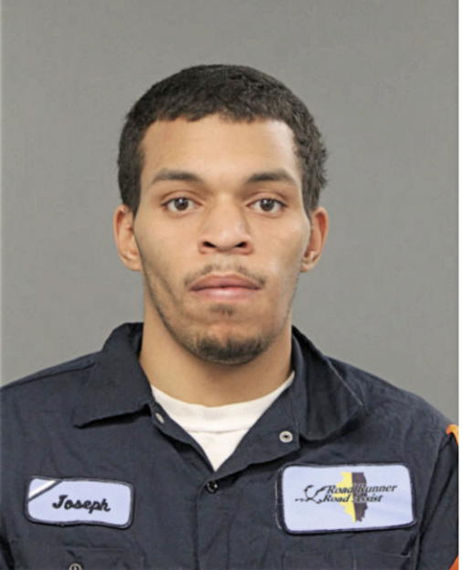 JOSEPH S MATTHEWS, Cook County, Illinois