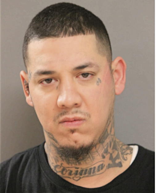 GUSTAVO A MENDOZA, Cook County, Illinois