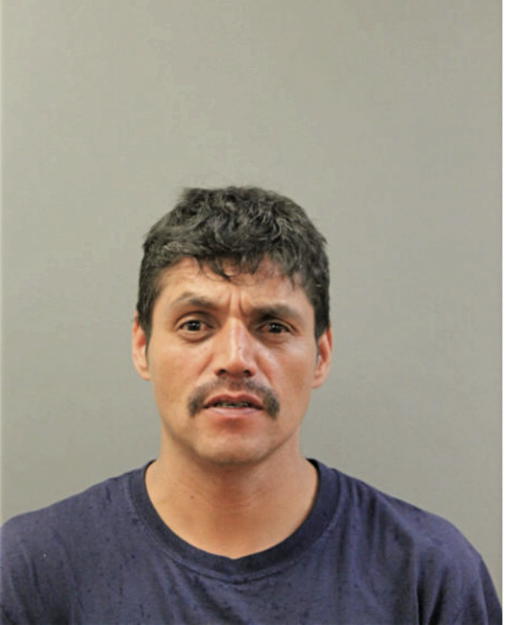 MARIO RAUL MURALLES, Cook County, Illinois