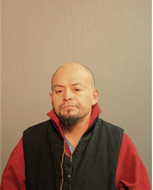 IVAN PATRICIO, Cook County, Illinois