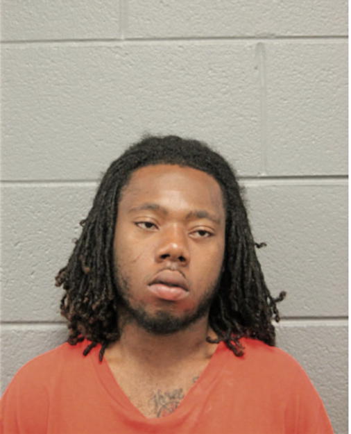 ERIC L PERRY, Cook County, Illinois