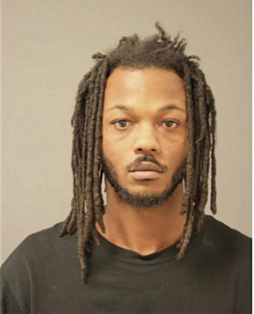 MICHAEL J PITTS, Cook County, Illinois