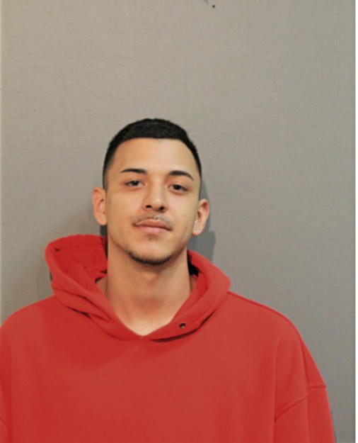 ALEXANDER D REYES-NAVA, Cook County, Illinois