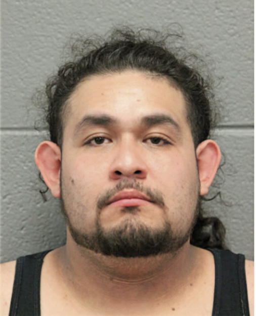 SERGIO VEGA REYES, Cook County, Illinois