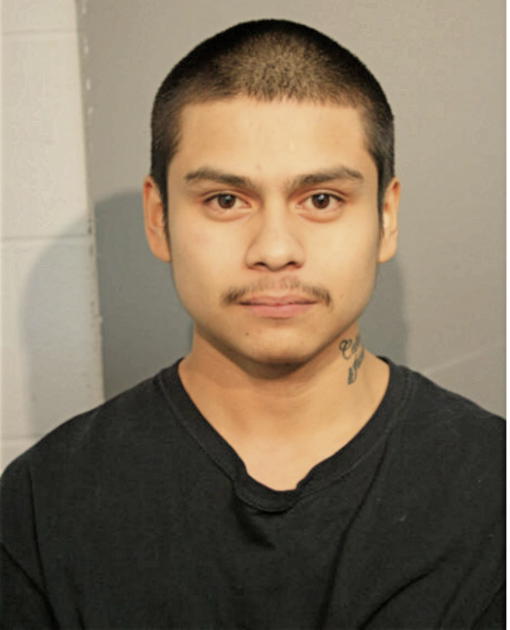 FAUSTO SANTANA, Cook County, Illinois