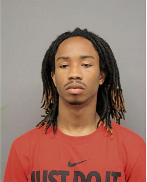 MICHAEL E SHAW, Cook County, Illinois