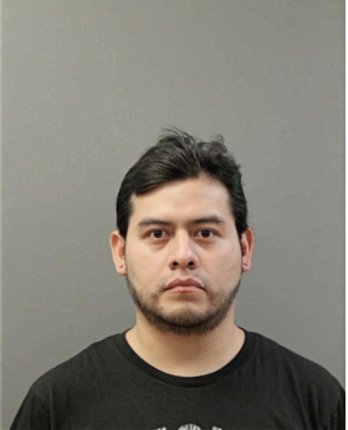 EDGAR F TERAN-DIAZ, Cook County, Illinois