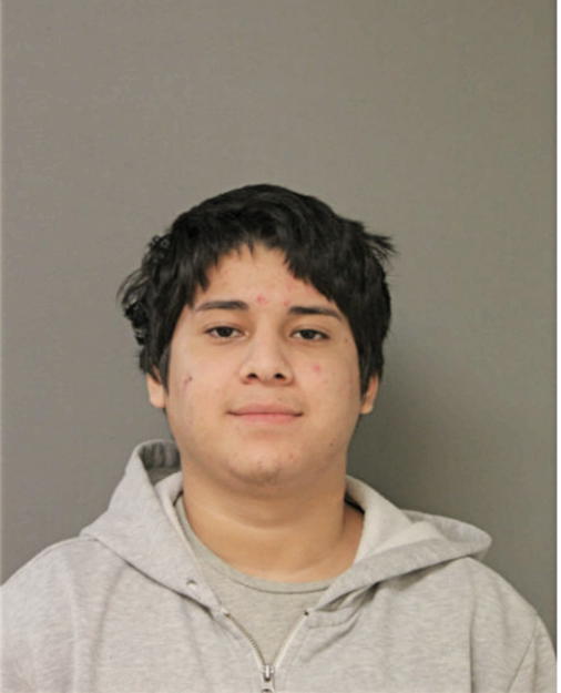 ALEXIS DEL TORRO, Cook County, Illinois
