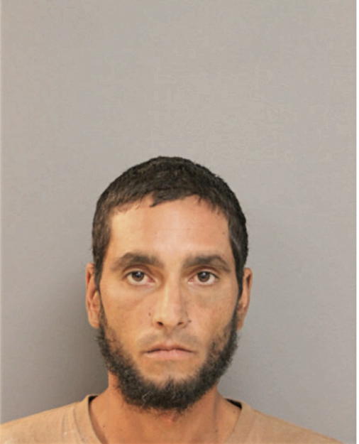JOSE R VEGA, Cook County, Illinois