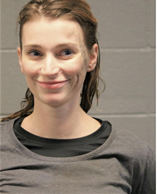 NATALIE J WAHLBERG, Cook County, Illinois
