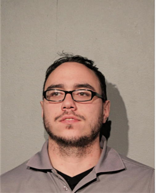 MICHAEL J WILSON, Cook County, Illinois