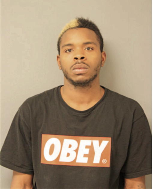 VICTOR O ADENEKAN, Cook County, Illinois